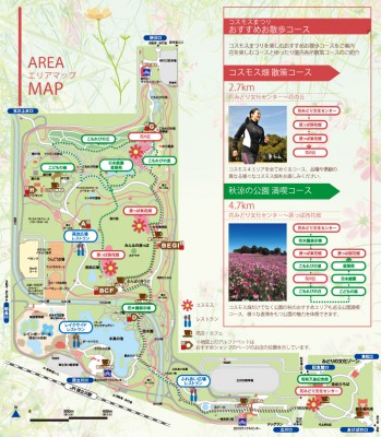 コスモスまつり　園内マップ　昭和記念公園 349x400 シルバーウィークはコスモスを見に行こう